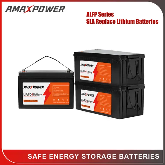 Amaxpower 12V/24V/48V Lithium